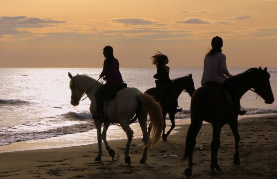 Passeggiata a cavallo sul lungomare  