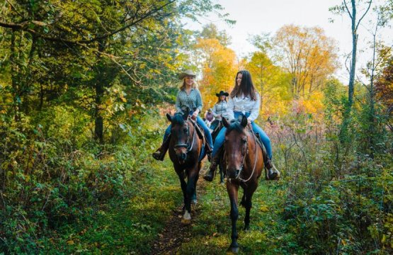 A cavallo sulla Via Francigena  