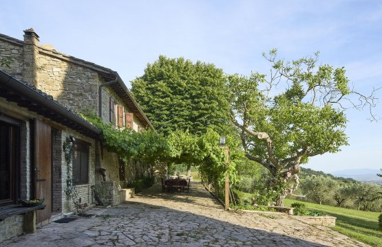 Affitto breve Villa Zona tranquilla Assisi Umbria